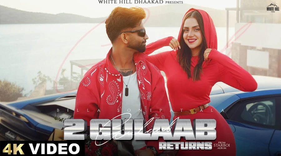 2 Gulaab Returns Lyrics - Billa Sonipat Ala